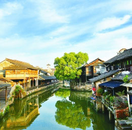 “推動世界各國共同搭乘互聯(lián)網(wǎng)和數(shù)字經(jīng)濟發(fā)展的快車”